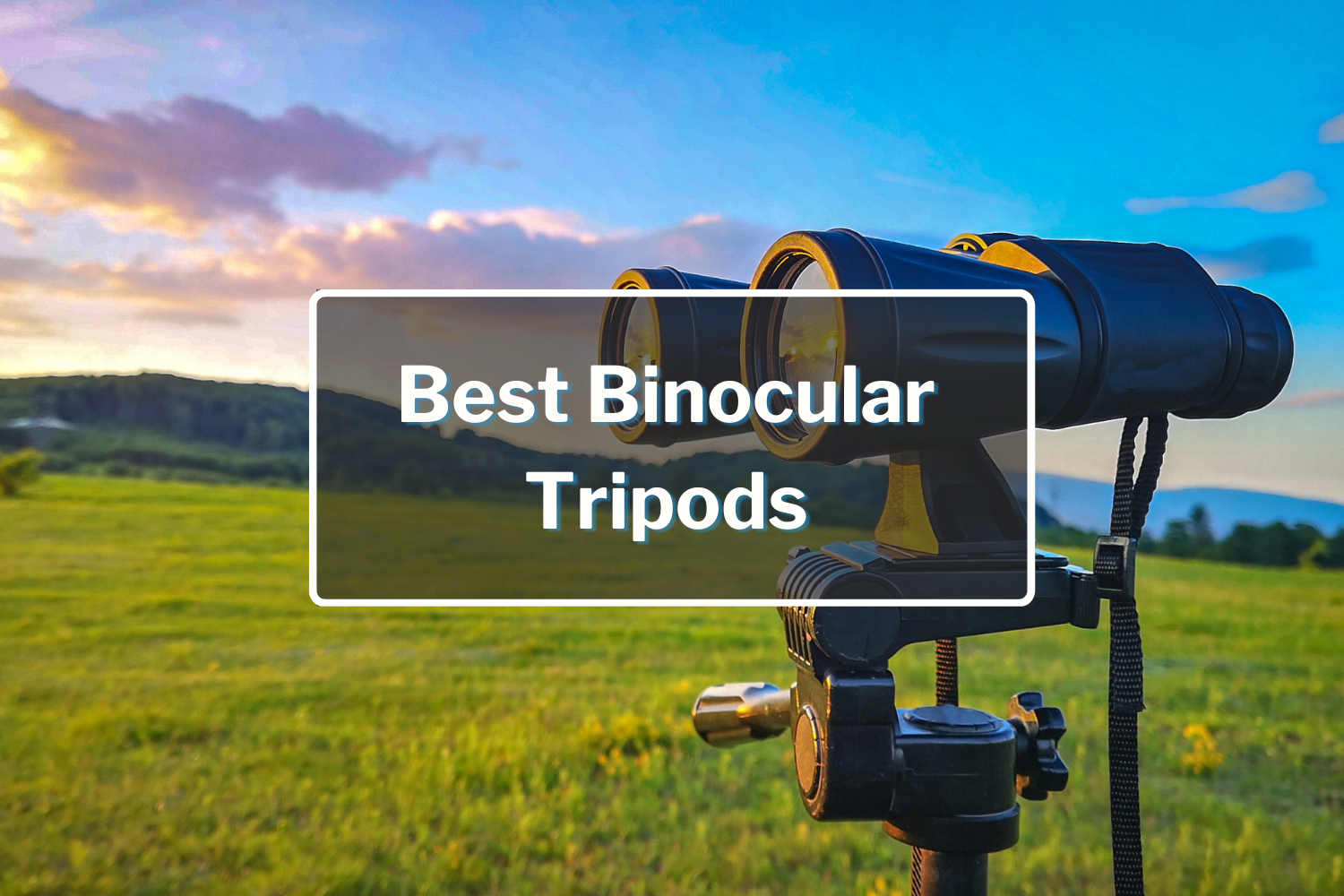 Best Binocular Tripods