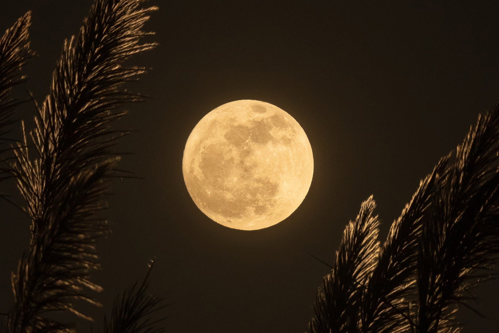 Astronomy Events for October 2021