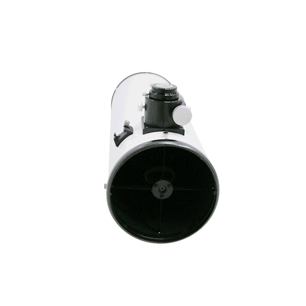 TPO 8